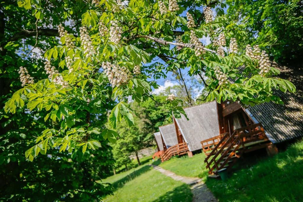Курортные отели Osrodek Wczasowy Wierzchy Wierzchy-51