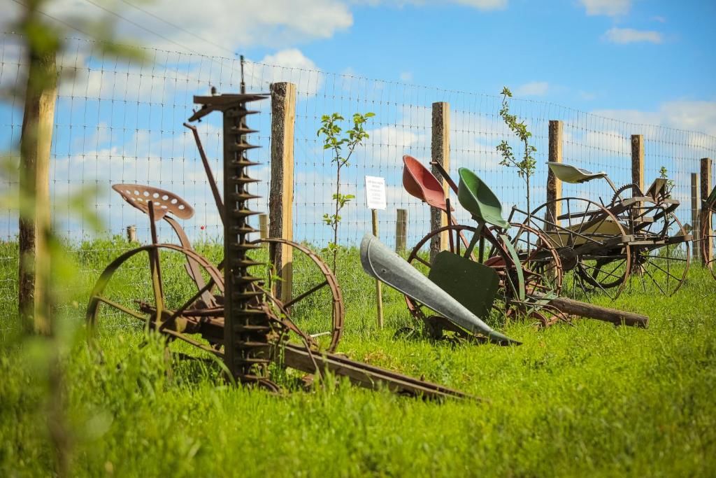 Курортные отели Osrodek Wczasowy Wierzchy Wierzchy-62