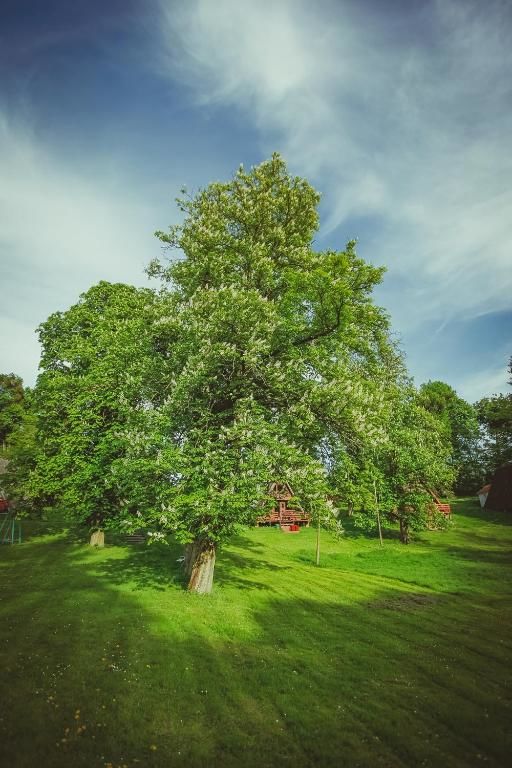 Курортные отели Osrodek Wczasowy Wierzchy Wierzchy-78
